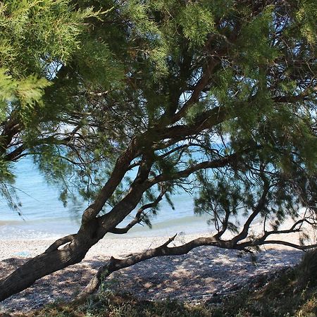 Corellia Asterias Beach Hotel Theológos エクステリア 写真