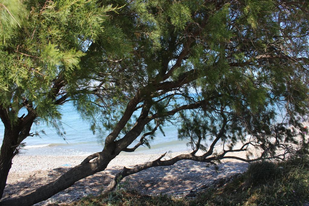 Corellia Asterias Beach Hotel Theológos エクステリア 写真