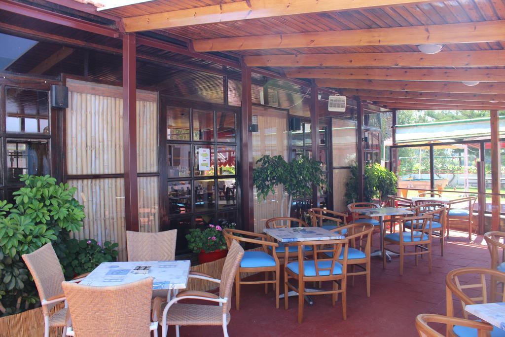 Corellia Asterias Beach Hotel Theológos エクステリア 写真